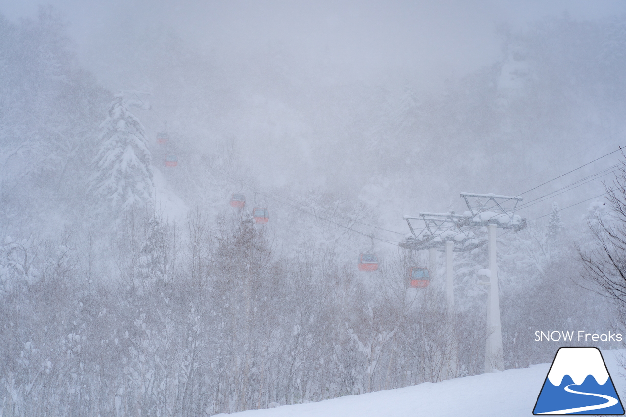 札幌国際スキー場｜只今『積雪』＆『滑走可能エリア』全国No.1！積雪 100cm、ほぼ全コース滑走可能。一気に厳冬期到来のKOKUSAI(^^)/